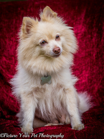 Foster Laverne-6256
