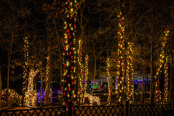Christmas-2645