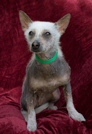 Foster Jillian-8661