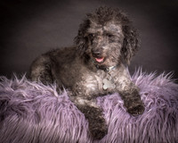 Foster Mokey-1333