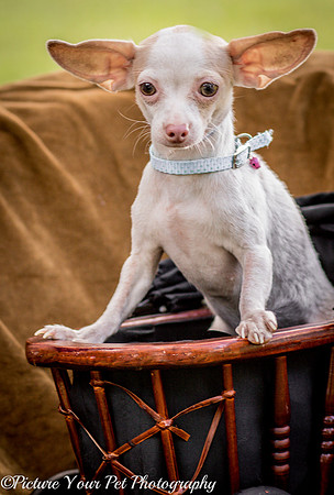 Foster Marion-3803