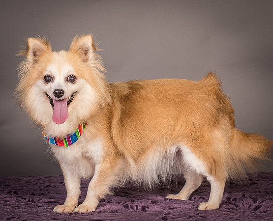 Foster Lilly-3238