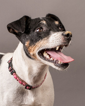 Foster Pollyanna-3943