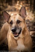 Foster Rita-2492