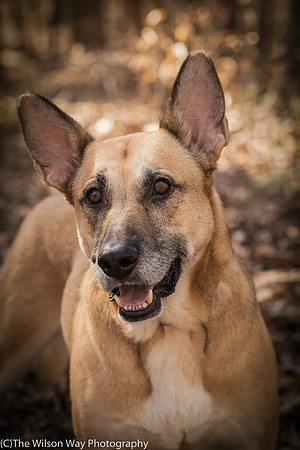 Foster Rita-2492