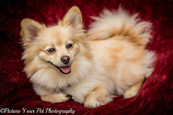 Foster Shirley-6107