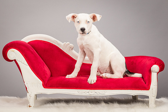 Foster Alvin-4723
