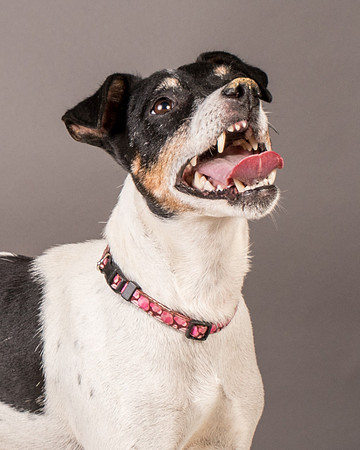 Foster Pollyanna-3926