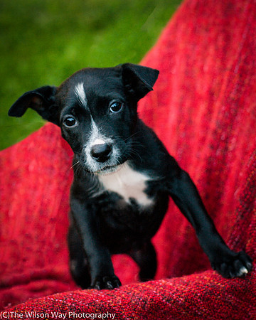 Foster Blythe-3936
