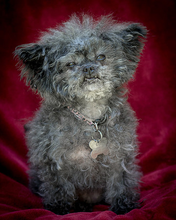 Foster Vivienne-9224