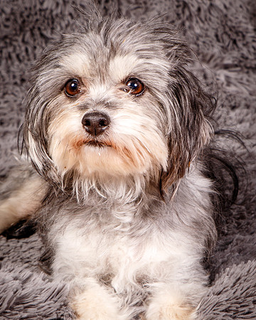 Foster Alex-6237