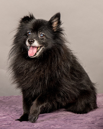 Foster Wayne-8274