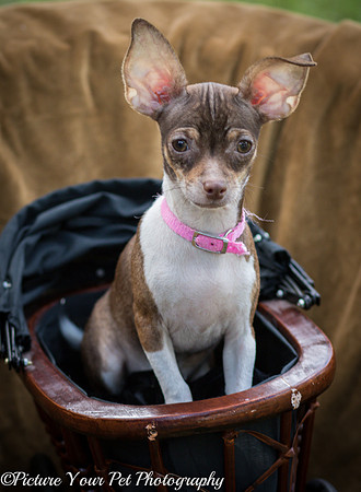 Foster Joanie-3792