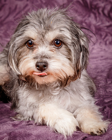 Foster Alex-6258