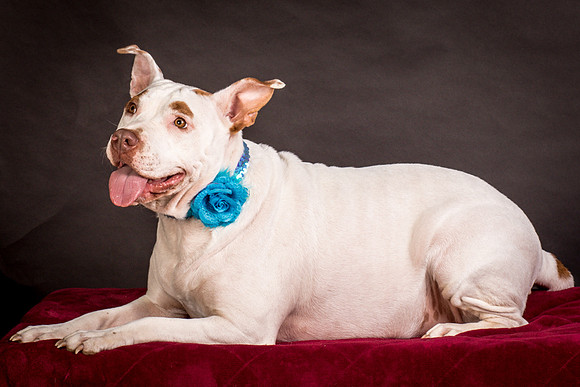 Foster Joanie-0473