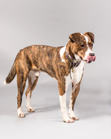 Foster Coolidge-3096
