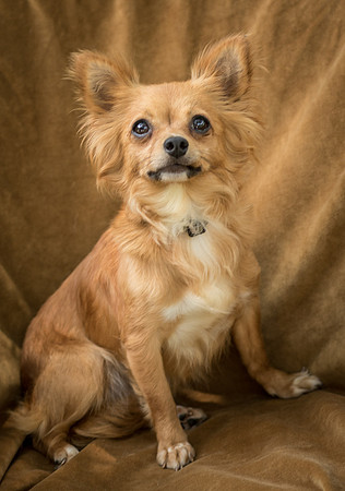 Foster Dolly-7716