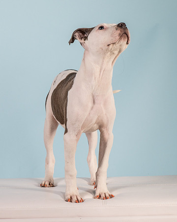 Foster Luna-4689