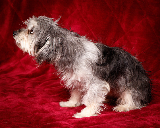 Foster Alex-6191