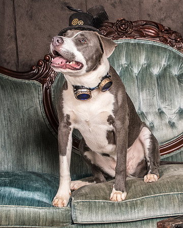 Foster Juliana-8068