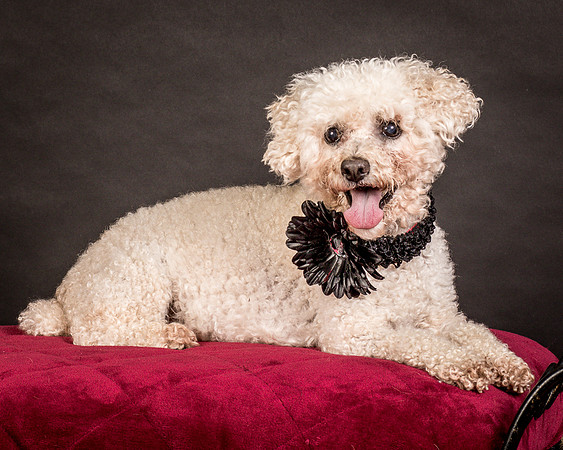 Foster Mae-9129