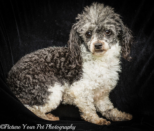 Foster Punky Brewster-3175