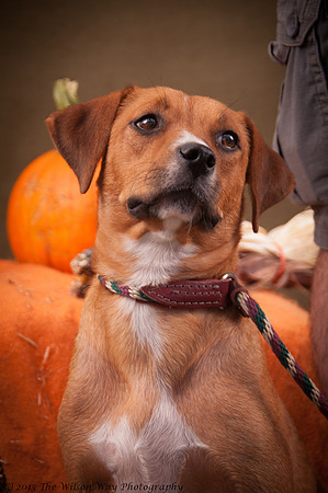 Foster Thelma-6974