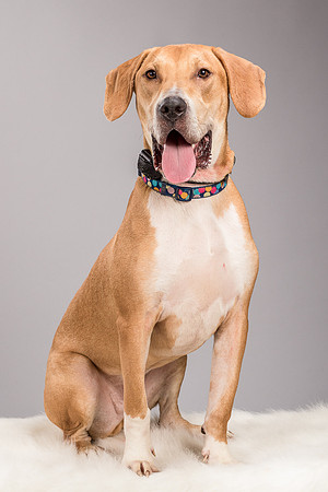 Foster Troy-6294