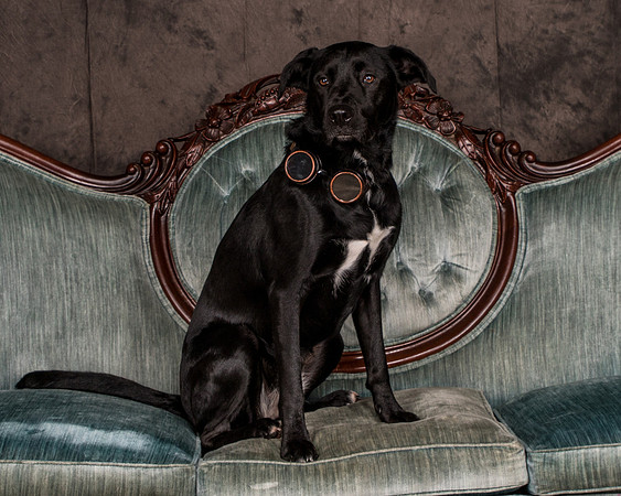 Butler-2851