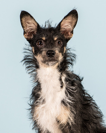 Foster Riley-5037