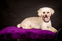Foster Mae-8953