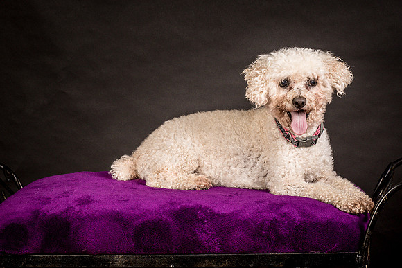 Foster Mae-8953