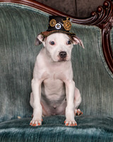 Foster Luna-4669