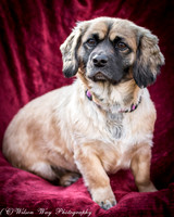 Foster Trudy-54