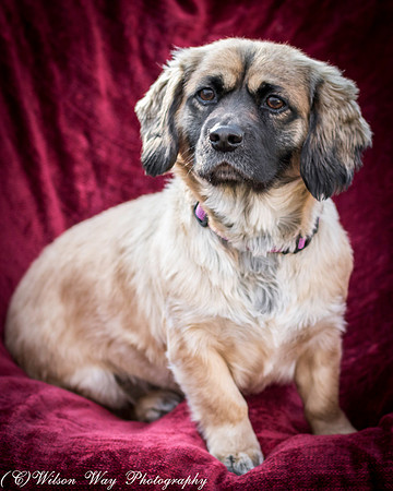 Foster Trudy-54