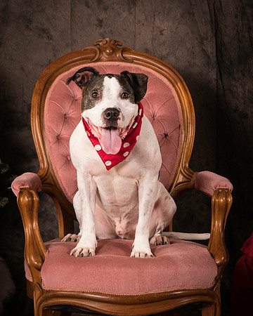 Foster Duke-0534