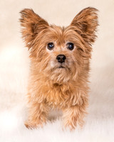 Foster Nessa-5633