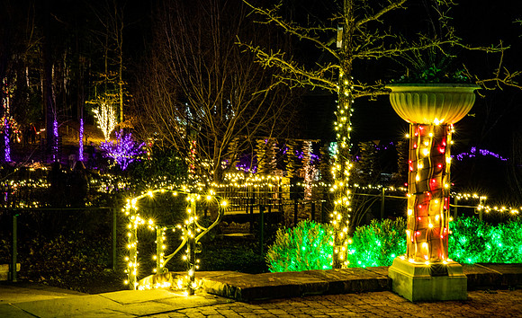 Christmas-2569