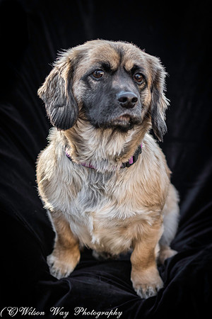 Foster Trudy-14