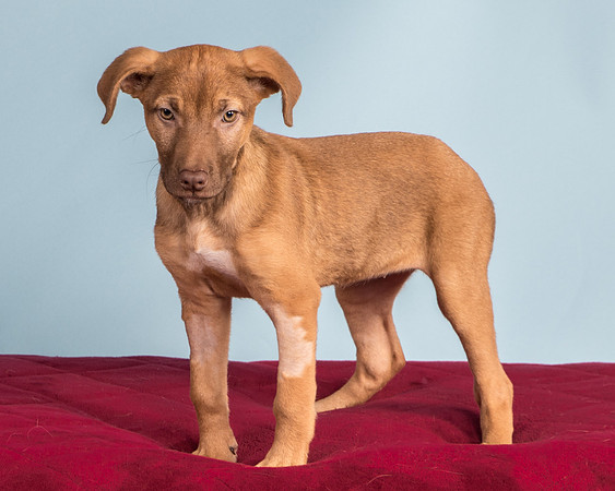 Foster Bronwyn-8387