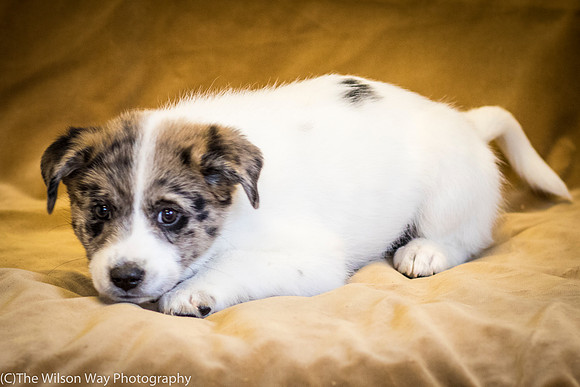 Foster Mira Jane-0300