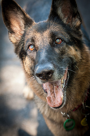 Gretchen-0830