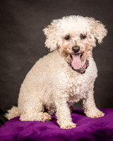 Foster Mae-8962