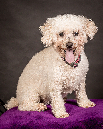 Foster Mae-8962