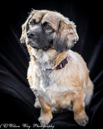 Foster Trudy-17