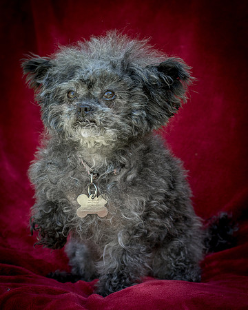 Foster Vivienne-9269
