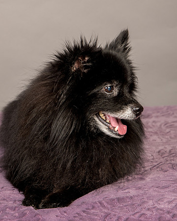 Foster Wayne-8284