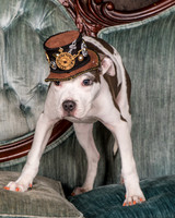Foster Luna-4674