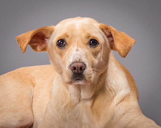 Foster June-3520