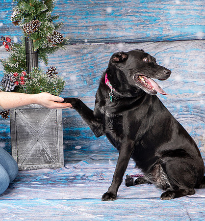 Foster Beatrice-4046
